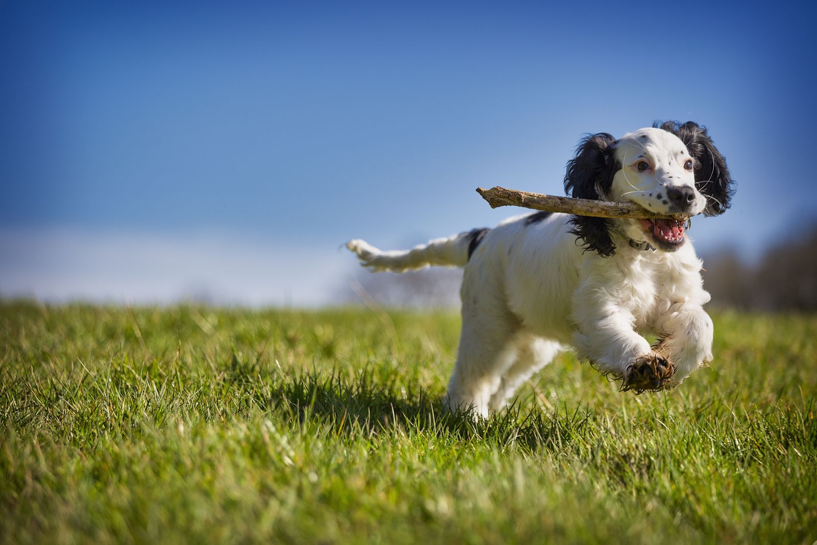 Retrieval Training