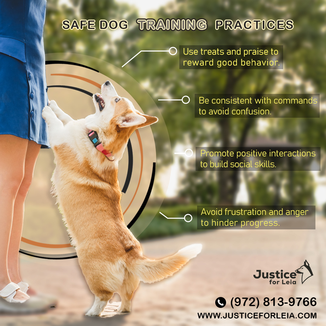 How to Train a Dog: Essential Steps for Effective Obedience