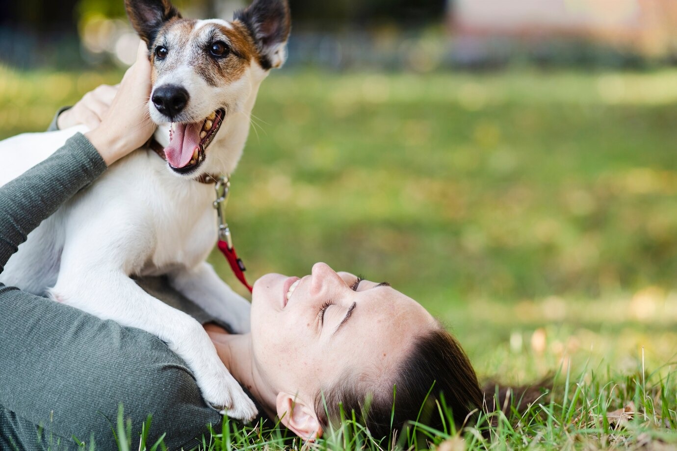 Does Your Dog Really Love You? 10 Clear Signs of Affection