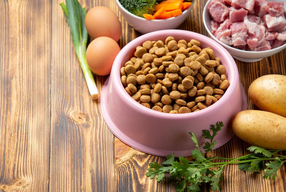 Fuel Your Dog’s Day With The Right Nutrition. Here’s What To Feed For A Happy, Healthy Pup!