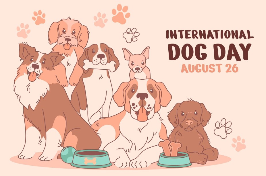 How International Dog Day Promotes Awareness of Stray and Abandoned Dogs