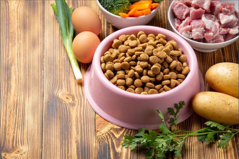 Pet Nutrition Guide: How to Read and Understand Dog Food Labels Easily
