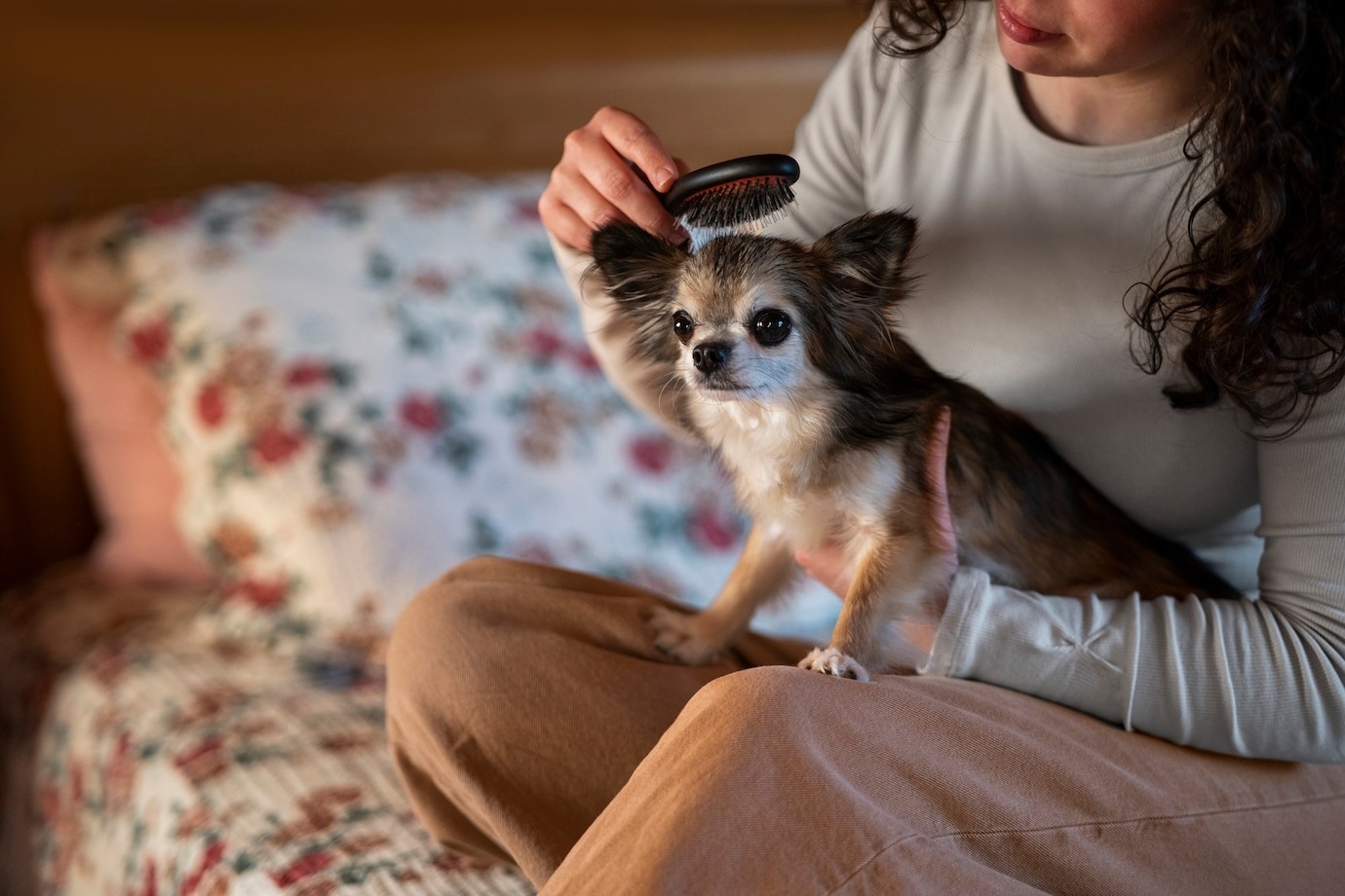 Separation Anxiety in Dogs: How to Help Your Pup Feel Safe